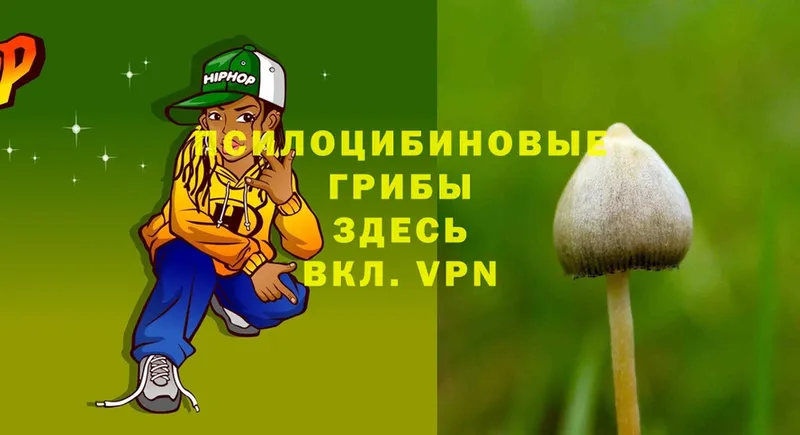 кракен маркетплейс  Кировск  Галлюциногенные грибы MAGIC MUSHROOMS 